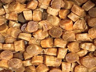 北海道干贝柱介绍