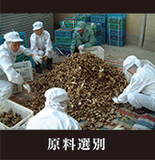 原料選別