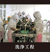 洗浄工程