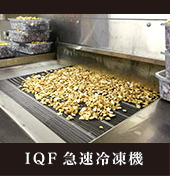 IQF急速凍結機