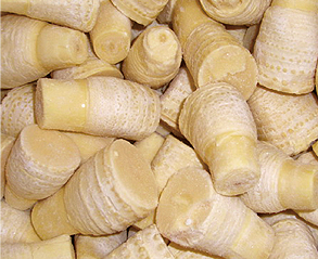 冷凍冬筍・穂付