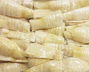 冷凍冬筍・穂付縦割