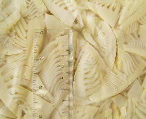 水煮筍・スライス