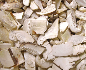 ＦＤ松茸チップ