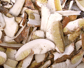ポルチーニ茸・カット