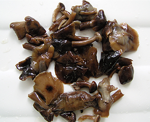 もだし茸・塩蔵