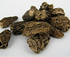 モリーユ・乾燥