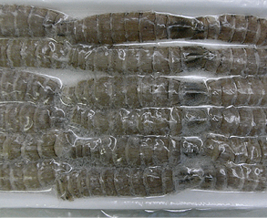 しゃこ・剥き身