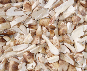 FD松茸ブロークン